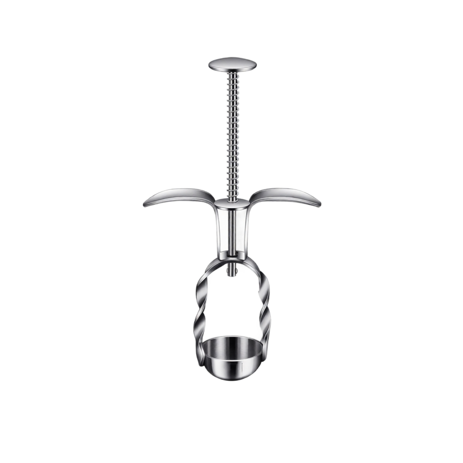 Stainless Steel Red Date Pitte - Kitchen Gadgets In 评论和价格